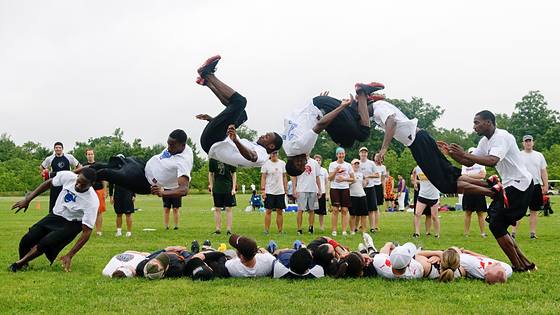 Poultry Days Flip